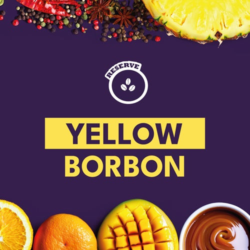 YELLOW BORBON