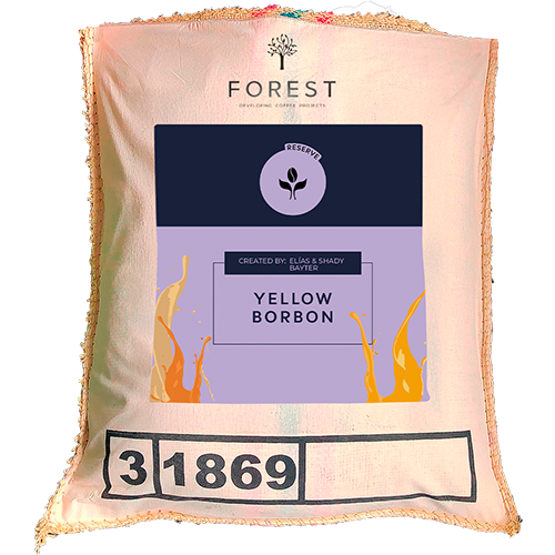 YELLOW BORBON