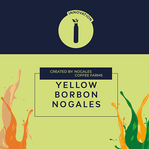 YELLOW BORBON NOGALES