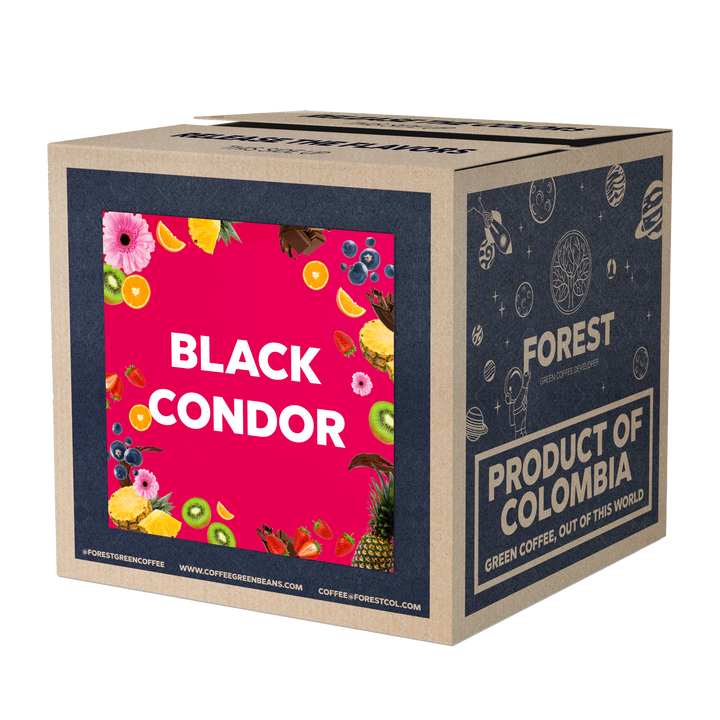 BLACK CONDOR - Forest Coffee 