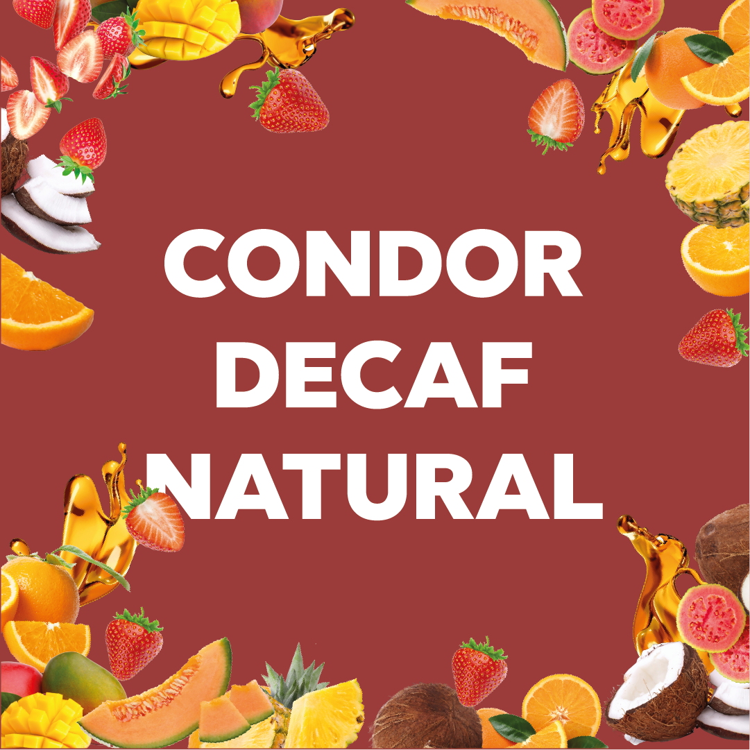 DECAF NATURAL - Forest Coffee 