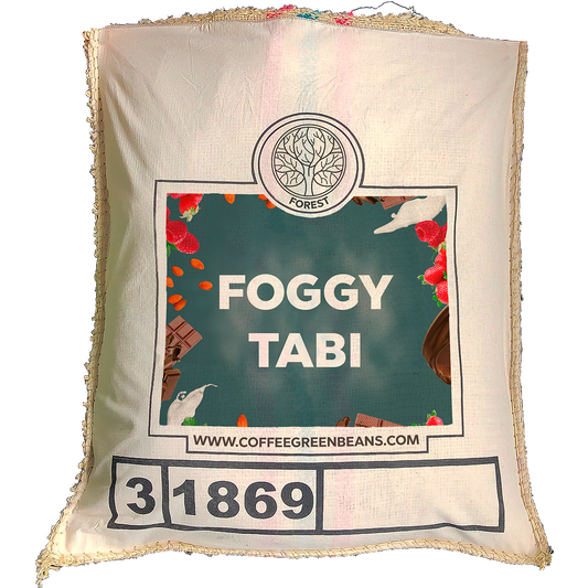 FOGGY TABI - Forest Coffee 