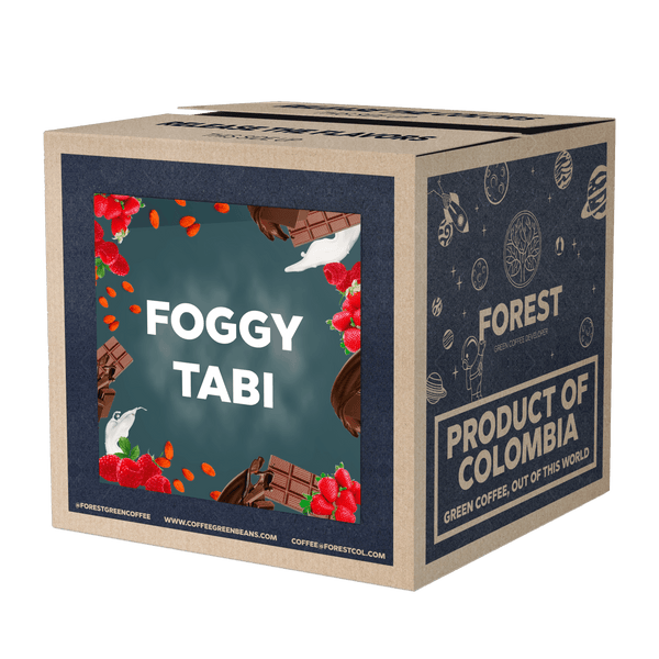 FOGGY TABI - Forest Coffee 