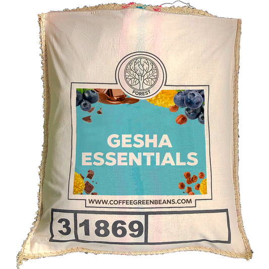 GESHA ESSENTIALS - Forest Coffee 