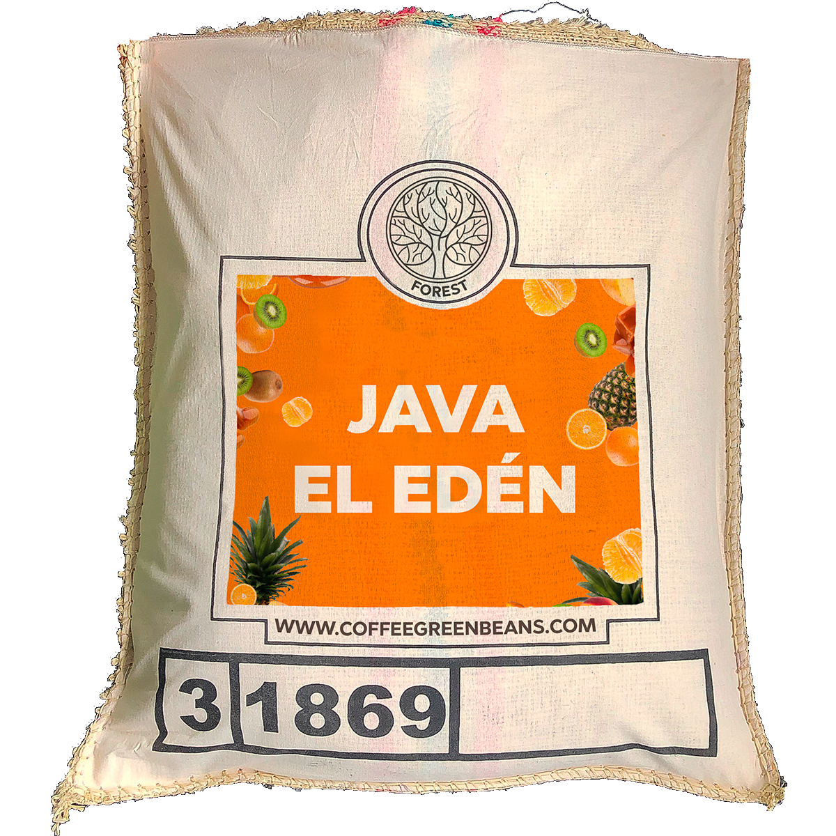 JAVA EL EDEN - Forest Coffee 