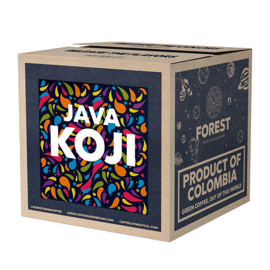 KOJI JAVA - Forest Coffee 