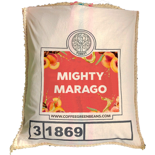 MIGHTY MARAGO - Forest Coffee 