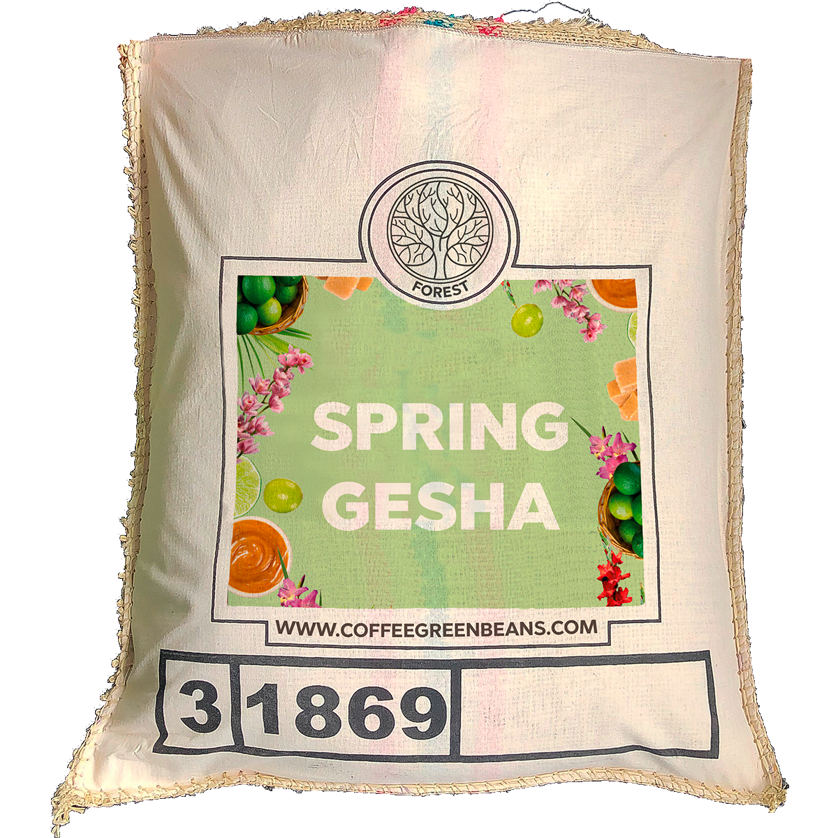 SPRING GESHA - Forest Coffee 