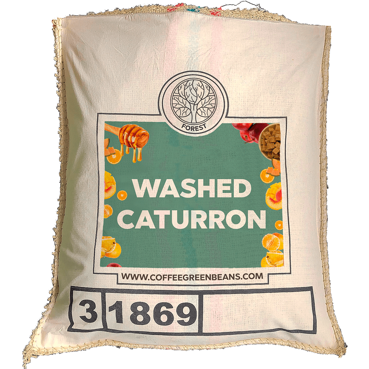 WASHED CATURRON - Forest Coffee 