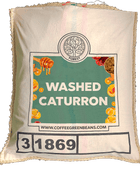 WASHED CATURRON - Forest Coffee 