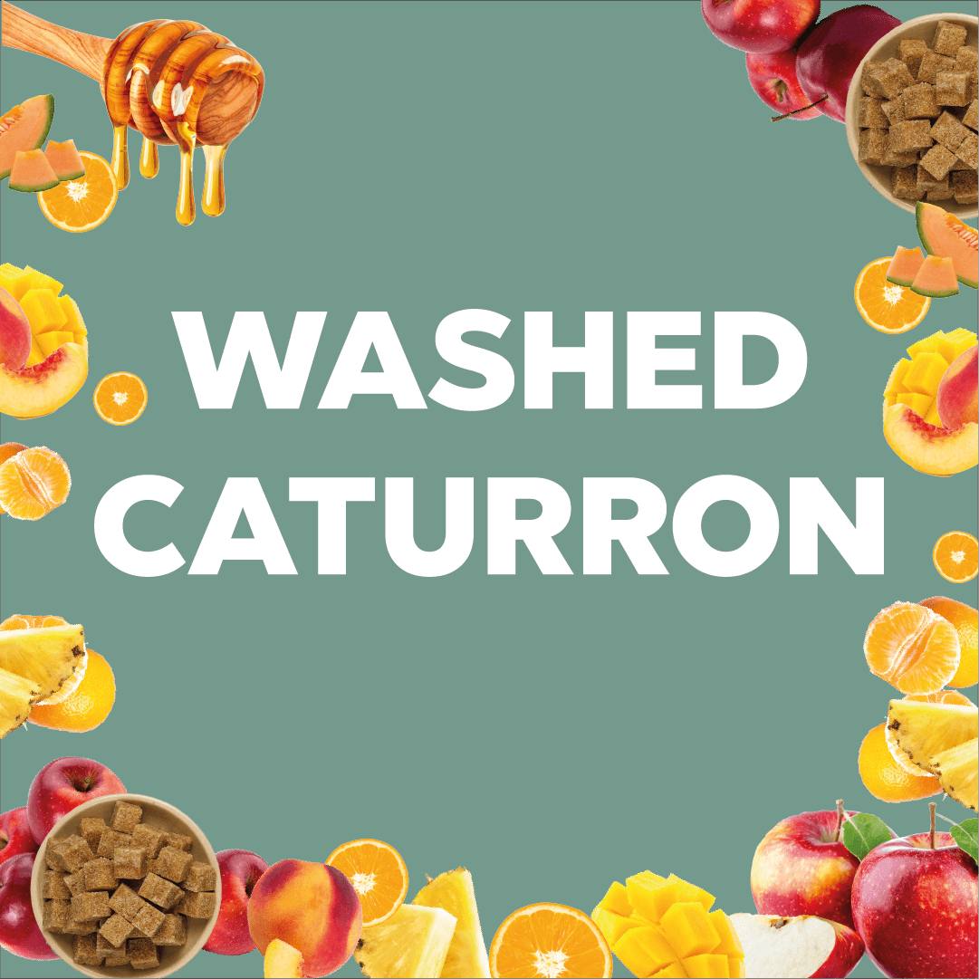 WASHED CATURRON - Forest Coffee 