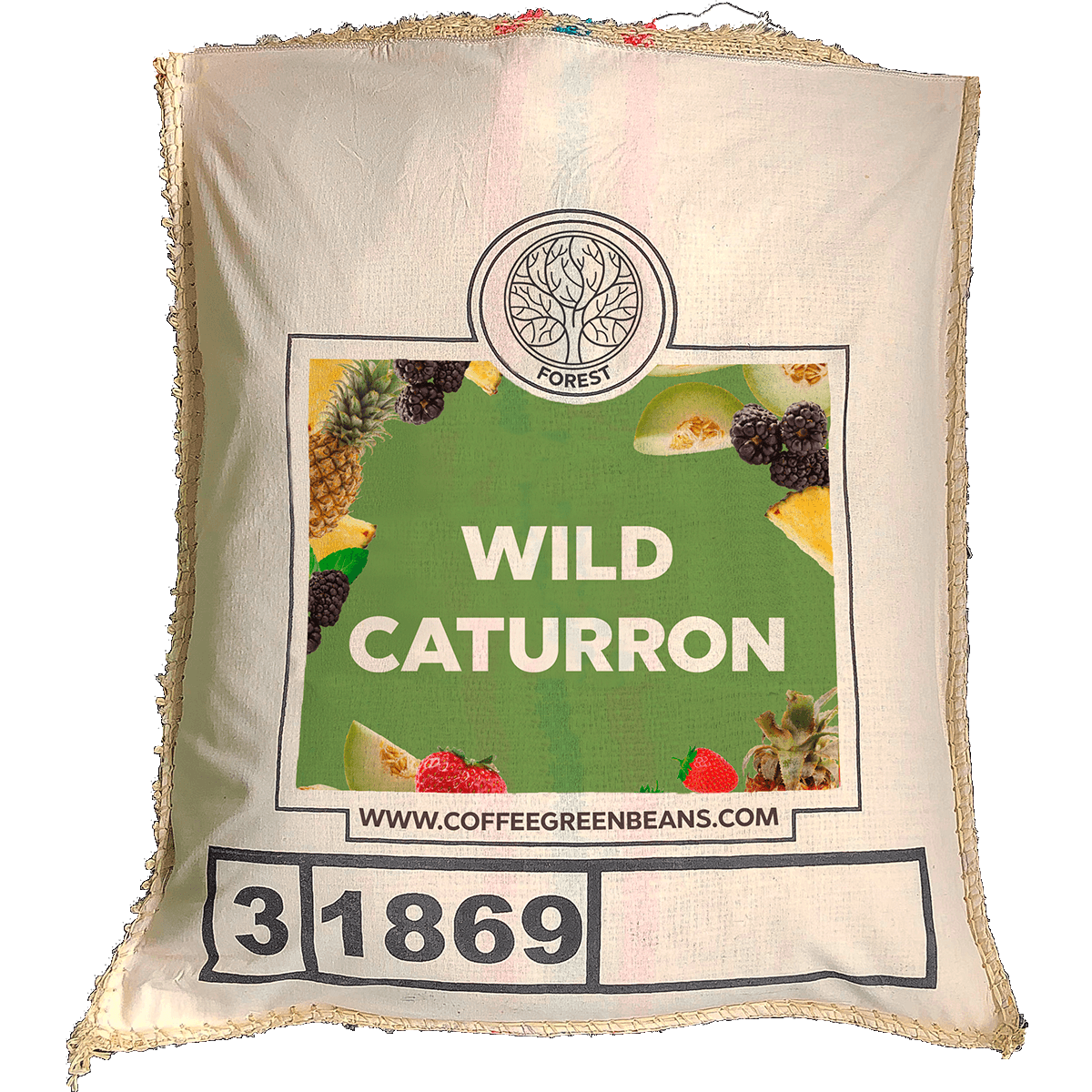WILD CATURRON - Forest Coffee 