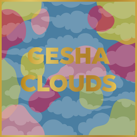 GESHA CLOUDS - Forest Coffee 