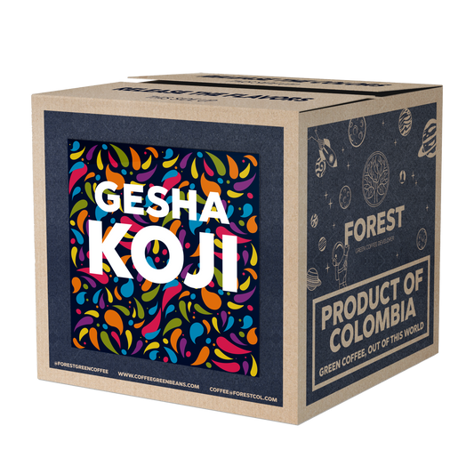 KOJI GESHA - Forest Coffee 