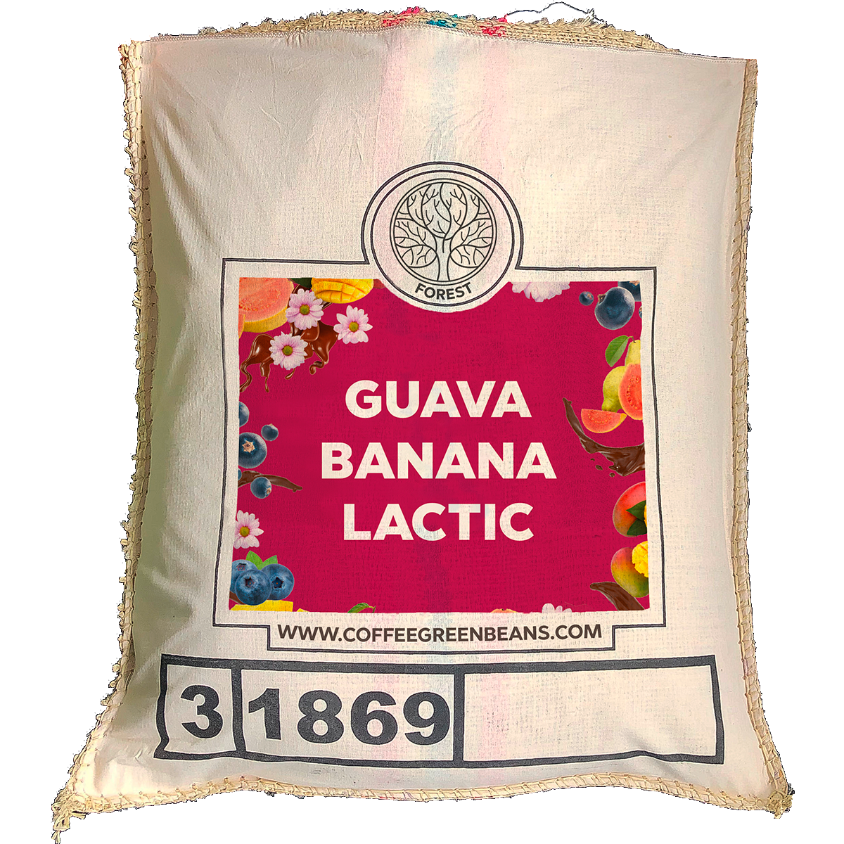 GUAVA BANANA LACTIC - Forest Coffee 