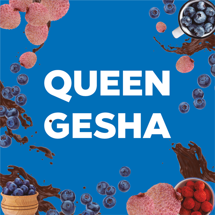 QUEEN GESHA - Forest Coffee 