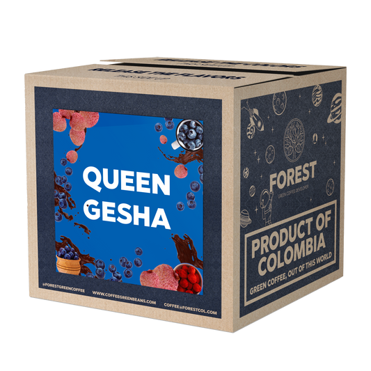 QUEEN GESHA - Forest Coffee 