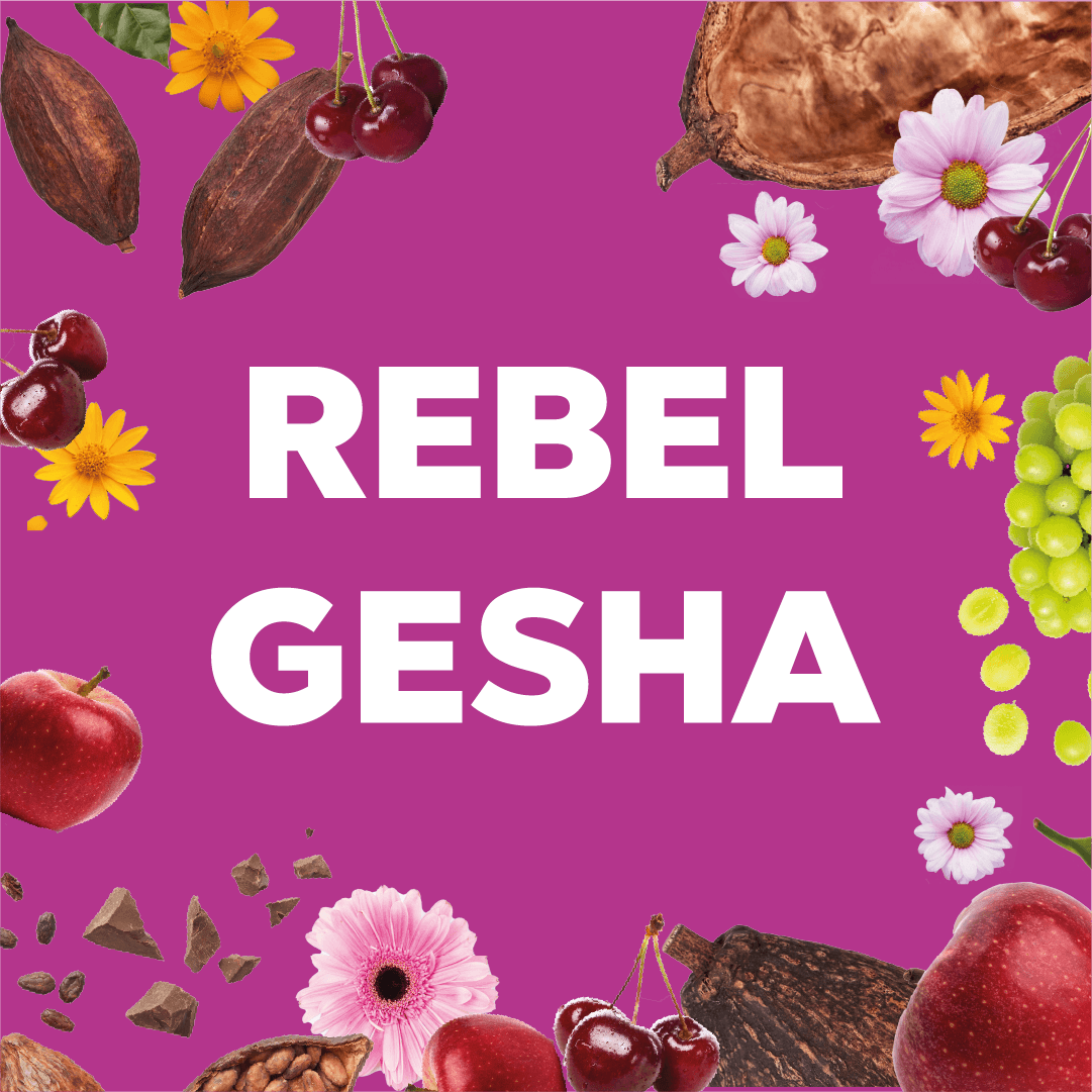 REBEL GESHA - Forest Coffee 
