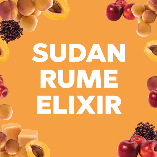 SUDAN RUME - Forest Coffee 