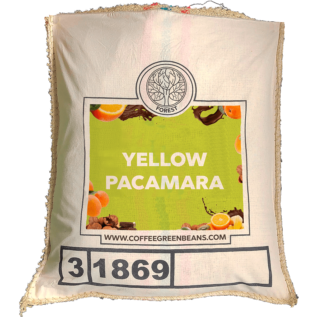 YELLOW PACAMARA - Forest Coffee 